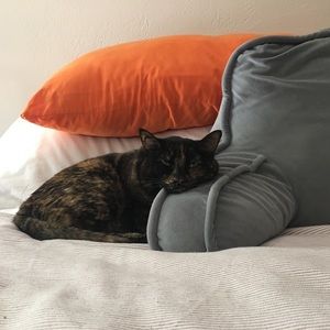 Meet your Posher, Mari